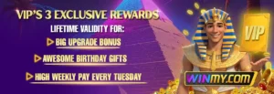 VIP Program in WINMY